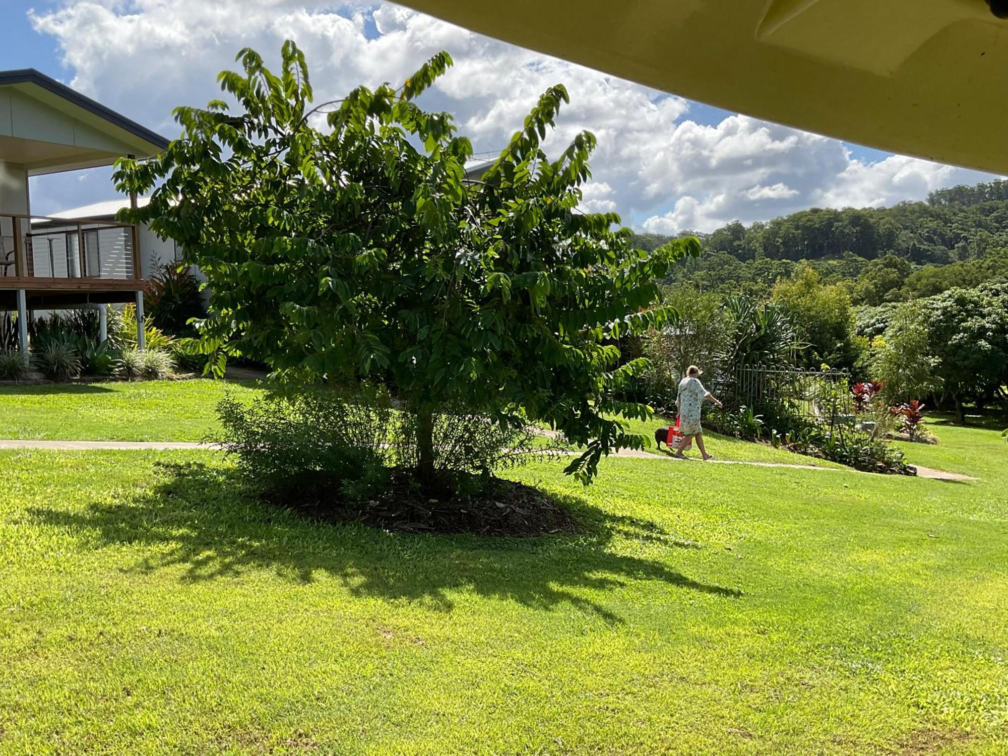 Sunshine Coast Retreat Your Own Private Golf Course Diddillibah Exterior foto